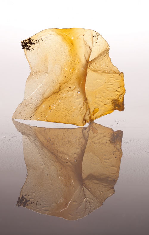 Parmesan crystal, a snack (Credit: Francesc Guillamet, courtesy of Phaidon)
